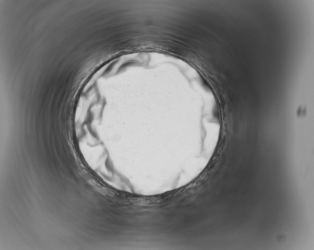 X0000113990241200910231736