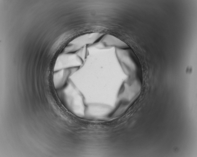 X0000113990242200910231736