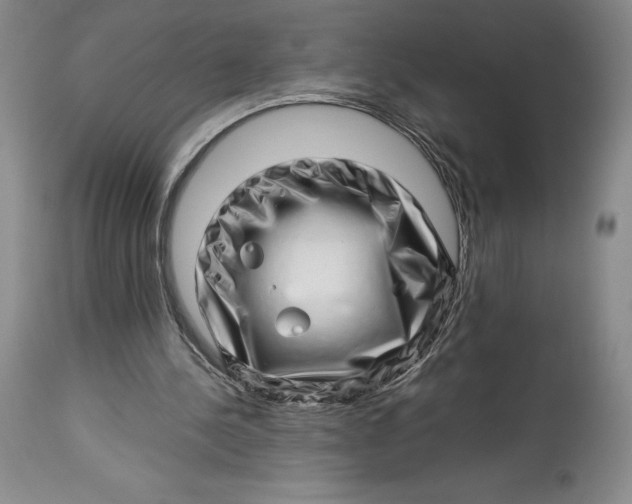 X0000113990244200910231736