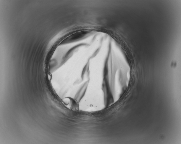 X0000113990246200910231736