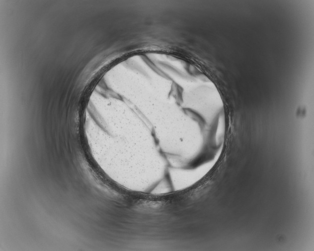 X0000113990247200910231736