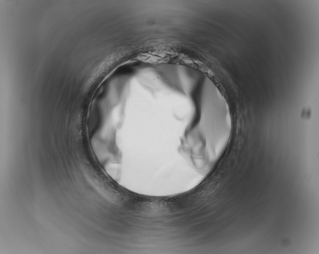 X0000113990250200910231736