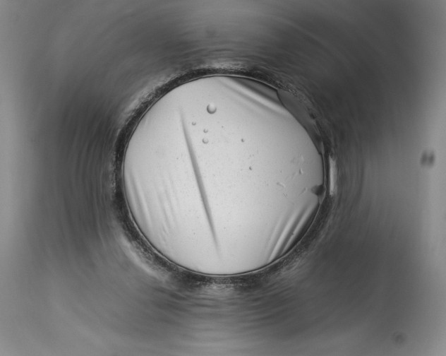 X0000113990252200910231736