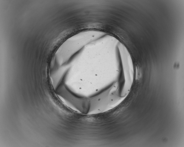 X0000113990253200910231736