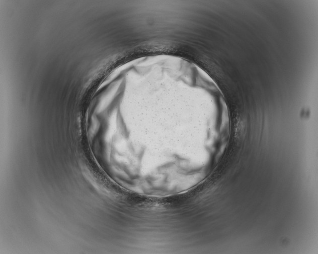 X0000113990254200910231736