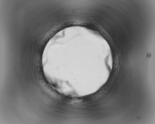 X0000113990257200910231736