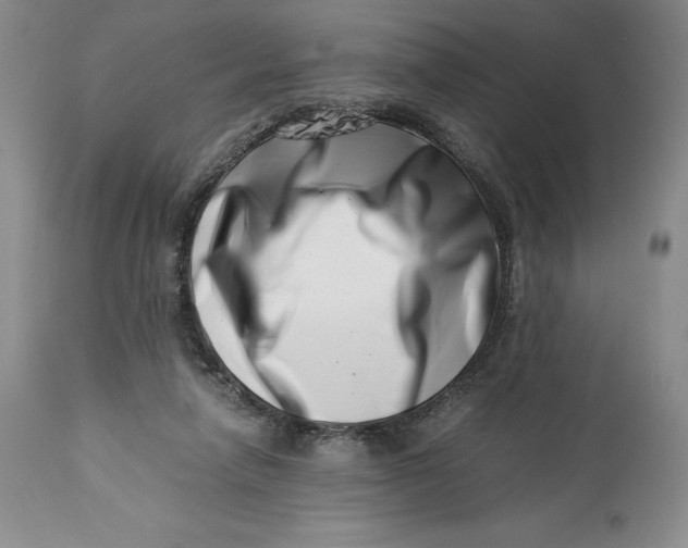 X0000113990258200910231736