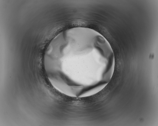 X0000113990259200910231736