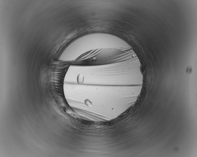 X0000113990260200910231736