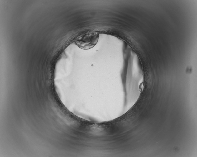 X0000113990261200910231736