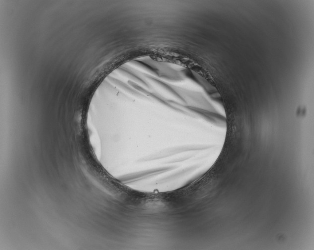 X0000113990262200910231736