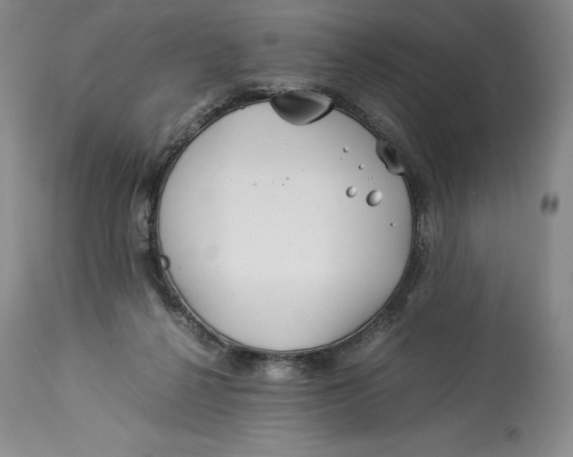 X0000113990264200910231736