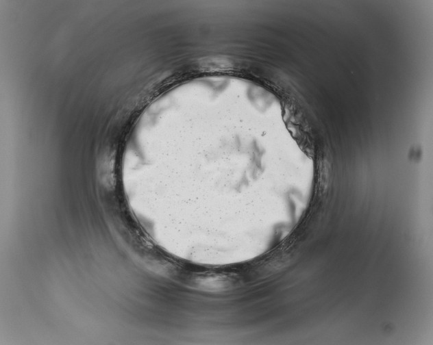 X0000113990267200910231736