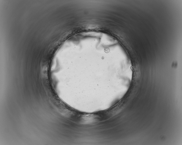 X0000113990269200910231736