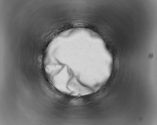 X0000113990271200910231736