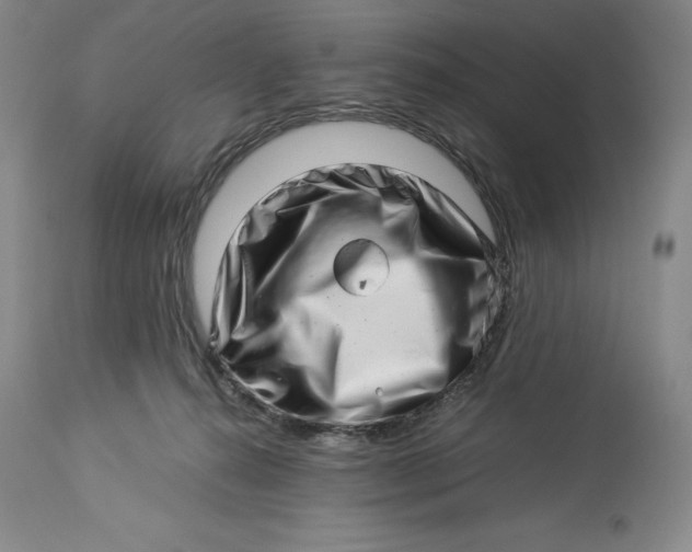 X0000113990272200910231736