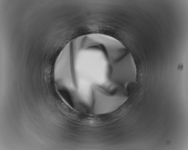 X0000113990275200910231736