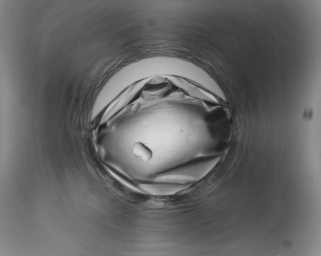 X0000113990280200910231736