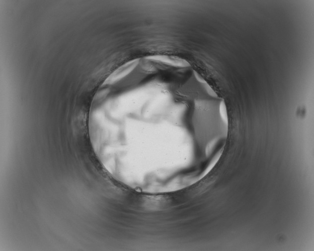 X0000113990281200910231736