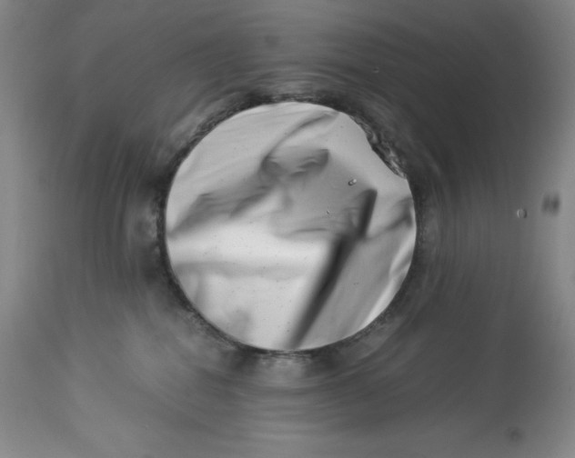 X0000113990282200910231736