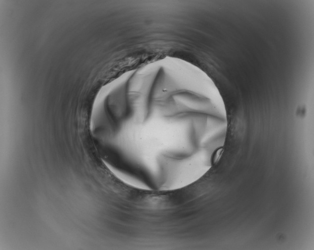 X0000113990283200910231736