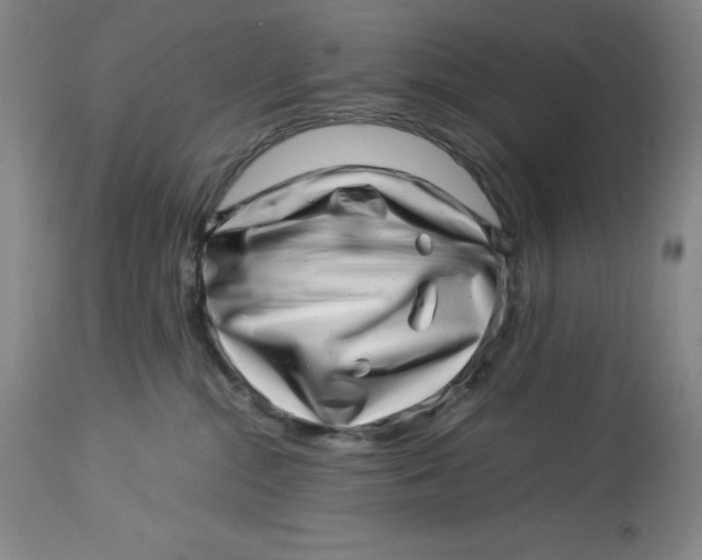 X0000113990284200910231736