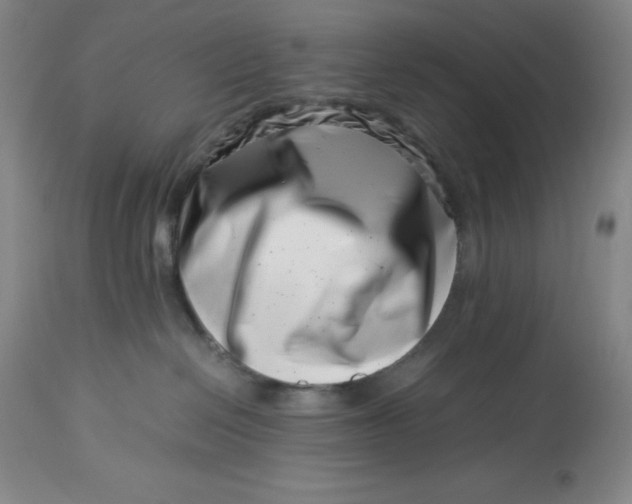 X0000113990286200910231736