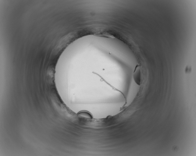 X0000113990288200910231736