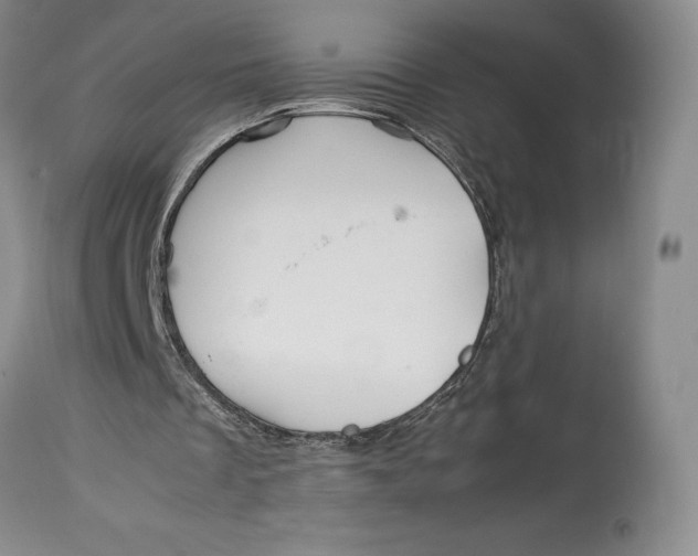 X0000113990289200910231736