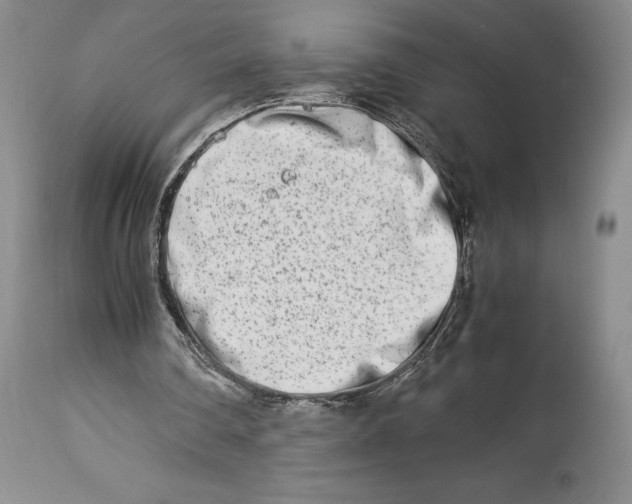 X0000113990290200910231736