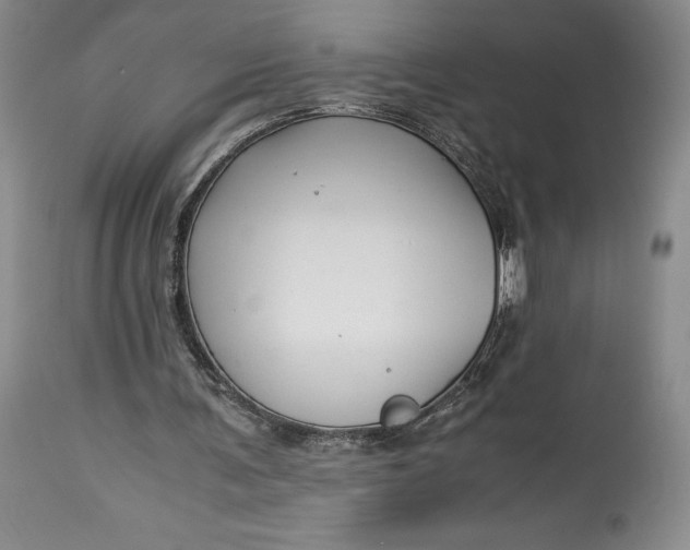 X0000113990291200910231736