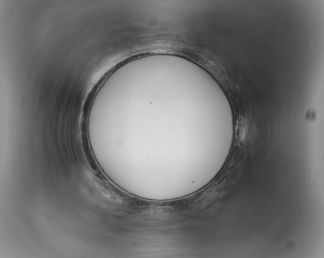 X0000113990292200910231736