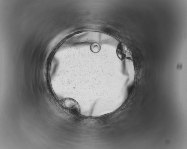 X0000113990294200910231736