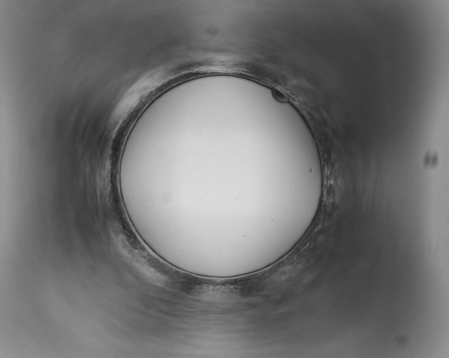 X0000113990296200910231736