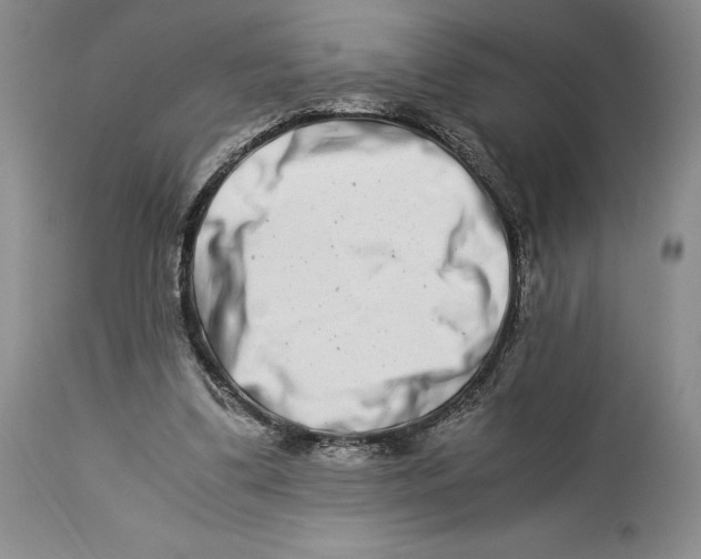 X0000113990299200910231736