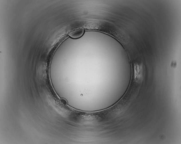 X0000113990300200910231736