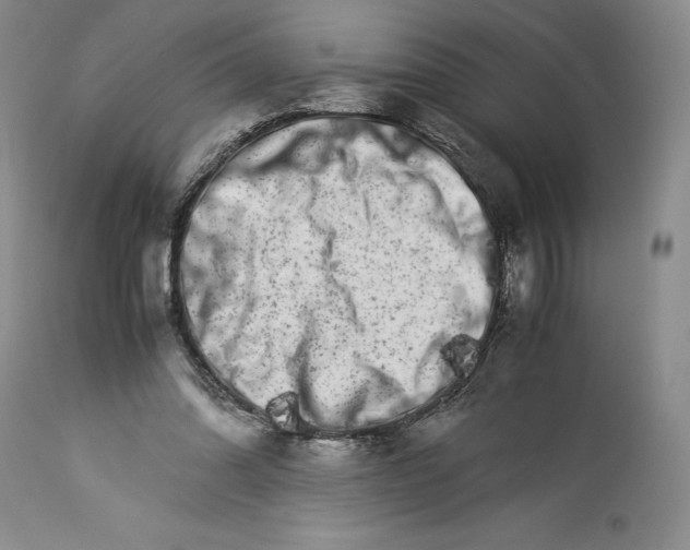 X0000113990302200910231736