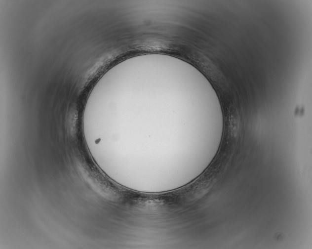 X0000113990304200910231736