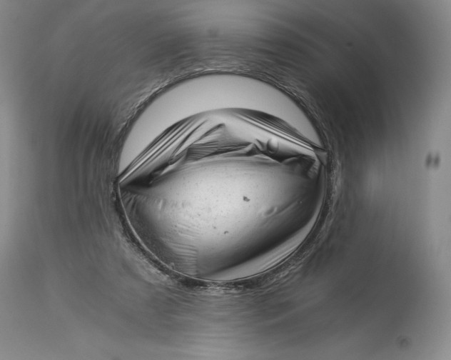 X0000113990305200910231736