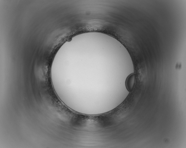 X0000113990308200910231735