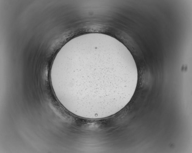 X0000113990310200910231735