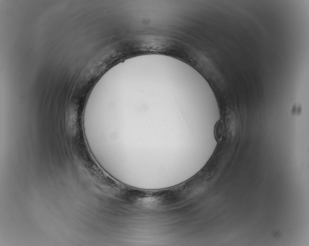 X0000113990312200910231735