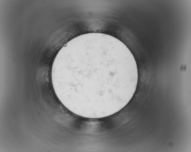 X0000113990313200910231735