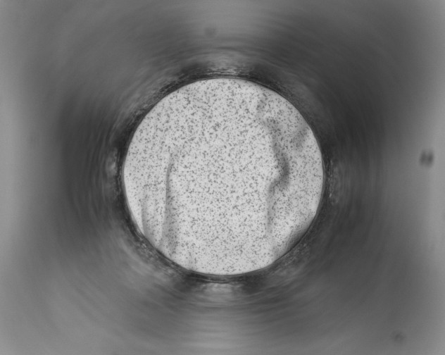 X0000113990314200910231735