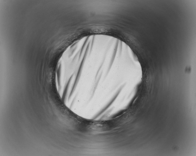 X0000113990315200910231735