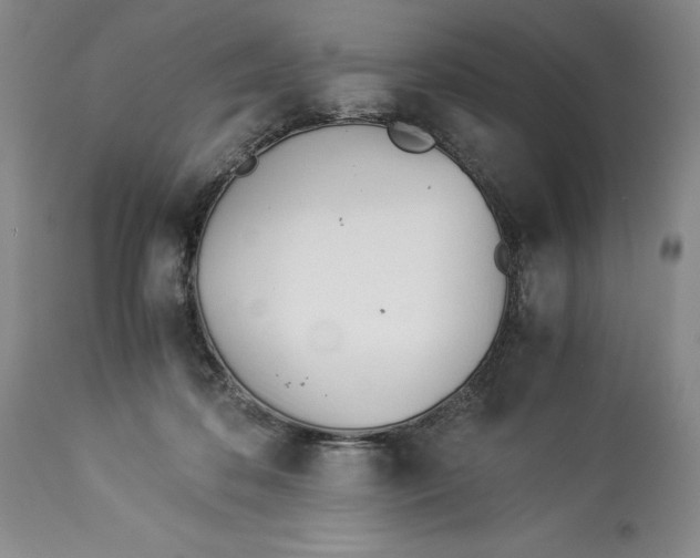 X0000113990316200910231735