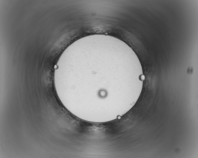 X0000113990317200910231735