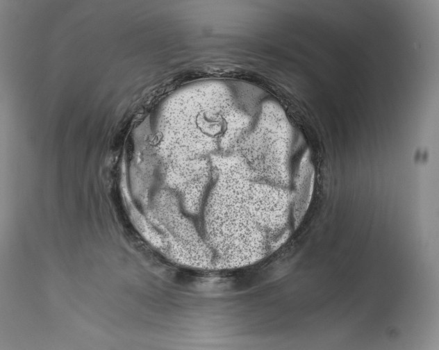 X0000113990319200910231735