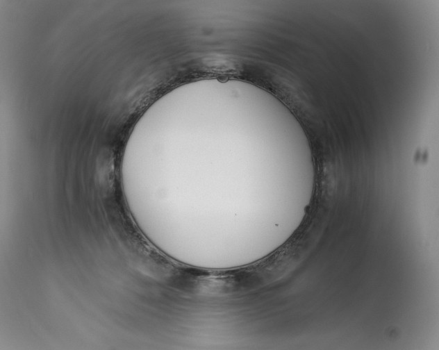 X0000113990320200910231735