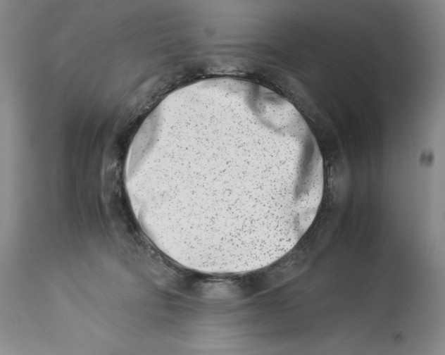 X0000113990322200910231735